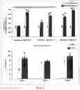 Fig. 02 - APOMORPHINE PLUS BUSPIRONE COMBINATION FOR MEMORY REVIVAL