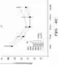 Fig. 13 - METHODS FOR TREATING NEUROPATHY