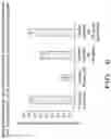 Fig. 19 - METHODS FOR TREATING NEUROPATHY