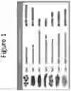 Fig. 02 - METHODS OF TREATING CONSTIPATION USING AMINOSTEROL COMPOSITIONS