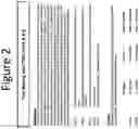 Fig. 03 - METHODS AND COMPOSITIONS FOR TREATING COGNITIVE IMPAIRMENT