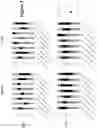 Fig. 04 - Deoxynucleoside therapy for diseases caused by unbalanced nucleotide pools including mitochondrial DNA depletion syndromes