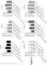 Fig. 07 - Deoxynucleoside therapy for diseases caused by unbalanced nucleotide pools including mitochondrial DNA depletion syndromes