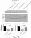 Fig. 08 - Deoxynucleoside therapy for diseases caused by unbalanced nucleotide pools including mitochondrial DNA depletion syndromes