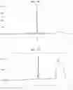 Fig. 12 - CYCLIC NUCLEIC ACID MOLECULE HAVING GENE EXPRESSION CONTROL FUNCTION