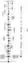 Fig. 02 - IN VITRO HEPARIN AND HEPARAN SULFATE COMPOSITIONS AND METHODS OF MAKING AND USING