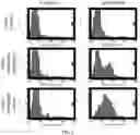 Fig. 03 - IN VITRO HEPARIN AND HEPARAN SULFATE COMPOSITIONS AND METHODS OF MAKING AND USING