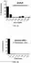 Fig. 05 - IN VITRO HEPARIN AND HEPARAN SULFATE COMPOSITIONS AND METHODS OF MAKING AND USING
