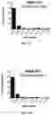 Fig. 06 - IN VITRO HEPARIN AND HEPARAN SULFATE COMPOSITIONS AND METHODS OF MAKING AND USING