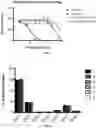 Fig. 09 - IN VITRO HEPARIN AND HEPARAN SULFATE COMPOSITIONS AND METHODS OF MAKING AND USING