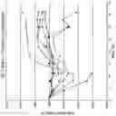Fig. 04 - Treatment of myelosuppression