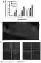 Fig. 03 - Compositions and methods for treating diseases and disorders of the central nervous system