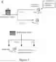 Fig. 04 - Compositions and methods for treating diseases and disorders of the central nervous system