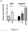 Fig. 06 - Compositions and methods for treating diseases and disorders of the central nervous system