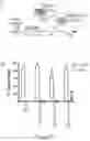Fig. 11 - Compositions and methods for treating diseases and disorders of the central nervous system