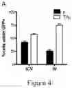 Fig. 17 - Compositions and methods for treating diseases and disorders of the central nervous system