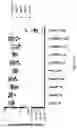 Fig. 19 - Compositions and methods for treating diseases and disorders of the central nervous system