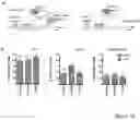 Fig. 37 - Compositions and methods for treating diseases and disorders of the central nervous system