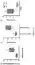 Fig. 58 - Compositions and methods for treating diseases and disorders of the central nervous system
