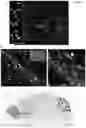 Fig. 60 - Compositions and methods for treating diseases and disorders of the central nervous system
