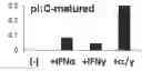 Fig. 01 - Short-term activated DC1s and methods for their production and use