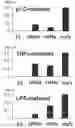 Fig. 02 - Short-term activated DC1s and methods for their production and use