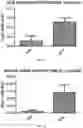 Fig. 06 - Short-term activated DC1s and methods for their production and use