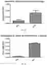 Fig. 07 - Short-term activated DC1s and methods for their production and use