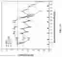 Fig. 18 - Quadricistronic system comprising a homing receptor and chimeric antigen receptor for stable genetic modification of cellular immunotherapies