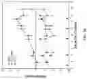 Fig. 22 - Quadricistronic system comprising a homing receptor and chimeric antigen receptor for stable genetic modification of cellular immunotherapies