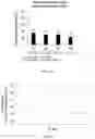 Fig. 04 - CHIMERIC ANTIGEN RECEPTOR THERAPY T CELL EXPANSION KINETICS AND USES THEREOF