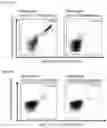 Fig. 15 - Peptides and combination of peptides of non-canonical origin for use in immunotherapy against different types of cancers