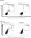 Fig. 17 - Peptides and combination of peptides of non-canonical origin for use in immunotherapy against different types of cancers