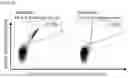Fig. 18 - Peptides and combination of peptides of non-canonical origin for use in immunotherapy against different types of cancers