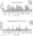 Fig. 09 - Nanoparticle modification of human adipose-derived mesenchymal stem cells for treating brain cancer and other neurological diseases