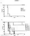Fig. 08 - IL-12 IMMUNOTHERAPY FOR CANCER