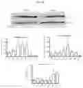 Fig. 16 - METHODS AND COMPOSITIONS OF OTC CONSTRUCTS AND VECTORS