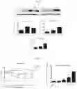 Fig. 22 - METHODS AND COMPOSITIONS OF OTC CONSTRUCTS AND VECTORS