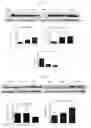 Fig. 23 - METHODS AND COMPOSITIONS OF OTC CONSTRUCTS AND VECTORS
