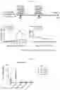 Fig. 33 - METHODS AND COMPOSITIONS OF OTC CONSTRUCTS AND VECTORS