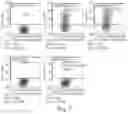 Fig. 04 - METHODS AND COMPOSITIONS OF MMA CONSTRUCTS AND VECTORS