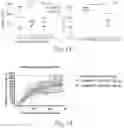 Fig. 10 - METHODS AND COMPOSITIONS OF MMA CONSTRUCTS AND VECTORS