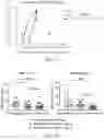 Fig. 11 - METHODS AND COMPOSITIONS OF MMA CONSTRUCTS AND VECTORS