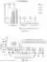 Fig. 13 - METHODS AND COMPOSITIONS OF MMA CONSTRUCTS AND VECTORS