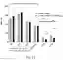 Fig. 16 - METHODS AND COMPOSITIONS OF MMA CONSTRUCTS AND VECTORS