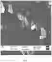 Fig. 07 - Multifunctional formulation comprised of natural ingredients and method of preparation/manufacturing thereof