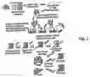 Fig. 02 - Peptides that block leukocyte recruitment and methods of use