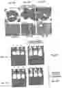 Fig. 10 - Peptides that block leukocyte recruitment and methods of use