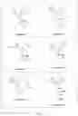 Fig. 34 - Compounds and methods for inhibiting phosphate transport