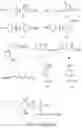Fig. 50 - Compounds and methods for inhibiting phosphate transport